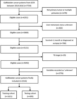 Risk factors and prognosis of liver metastasis in gallbladder cancer patients: A SEER-based study